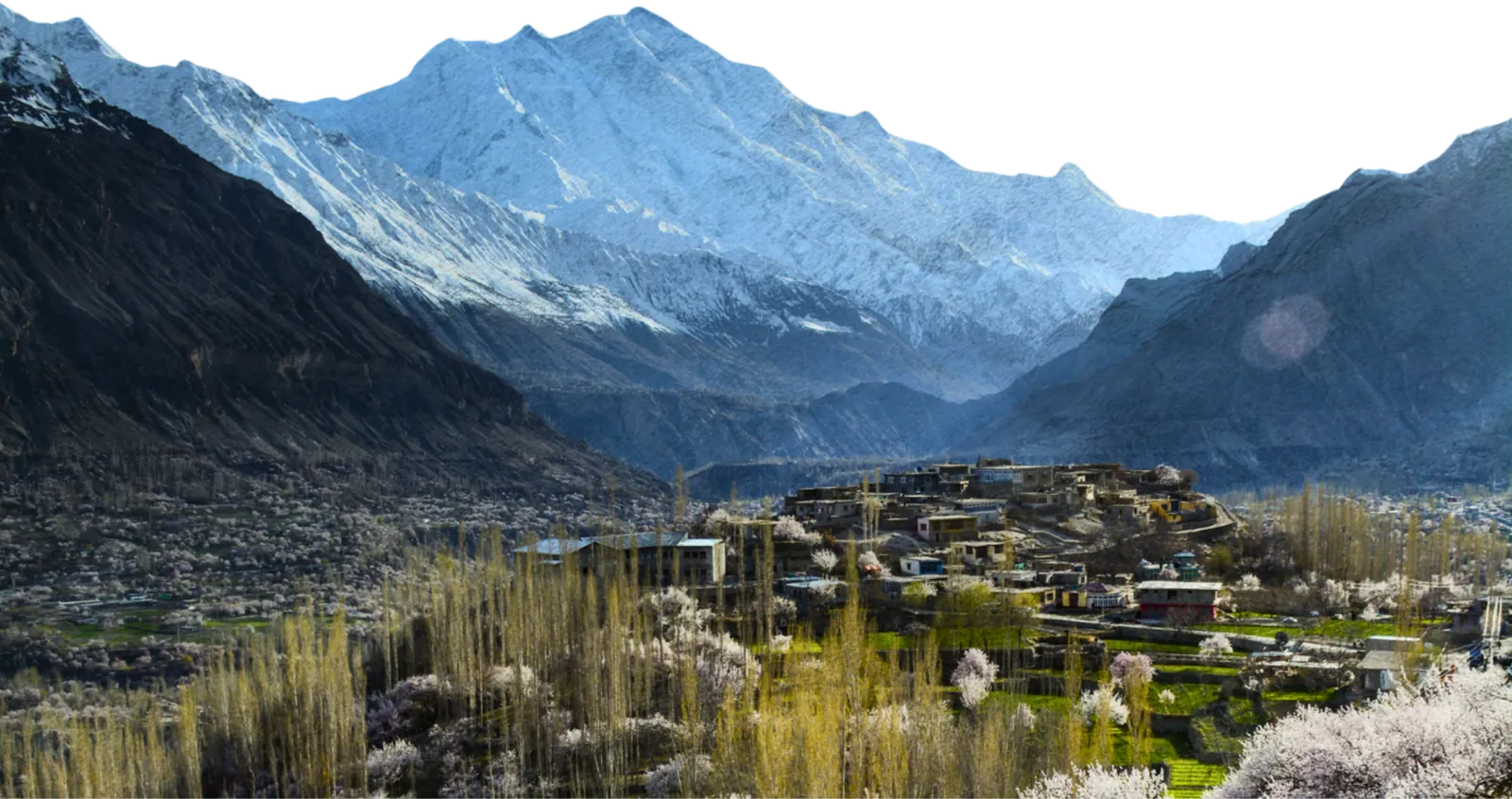 Snow-covered peaks above a village and blossoming orchards in the Hunza Valley